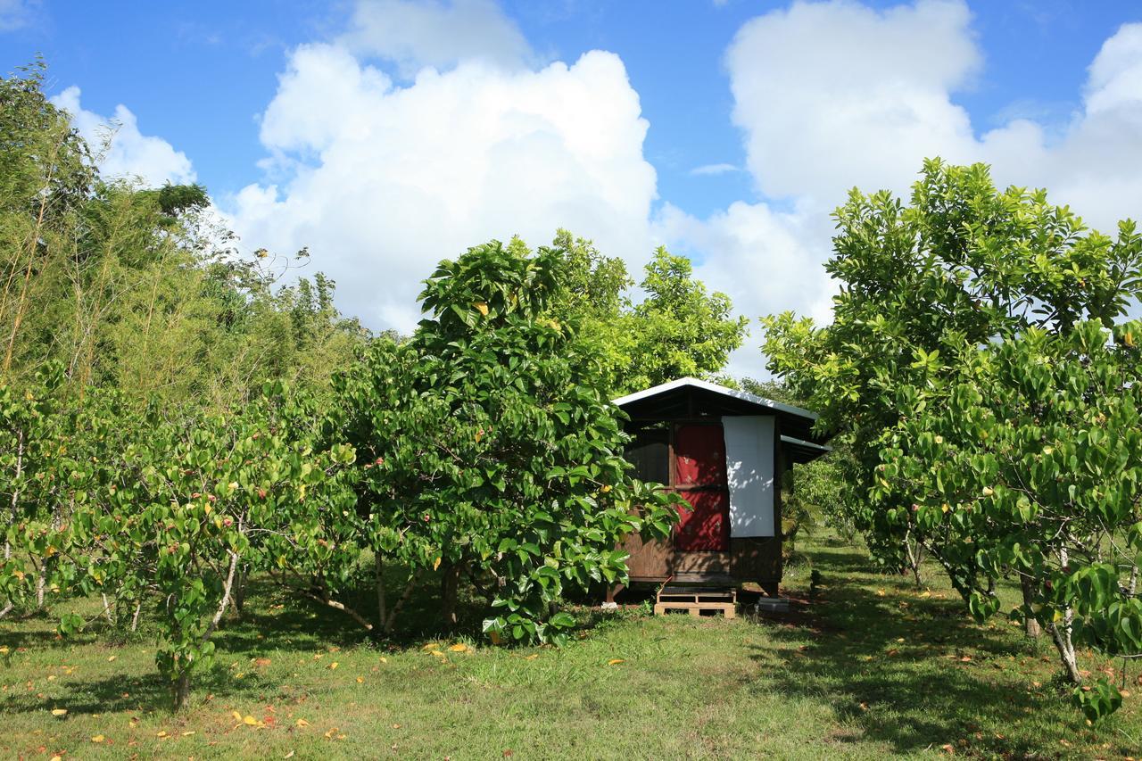 Kirpal Meditation And Ecological Center Pahoa Exterior foto