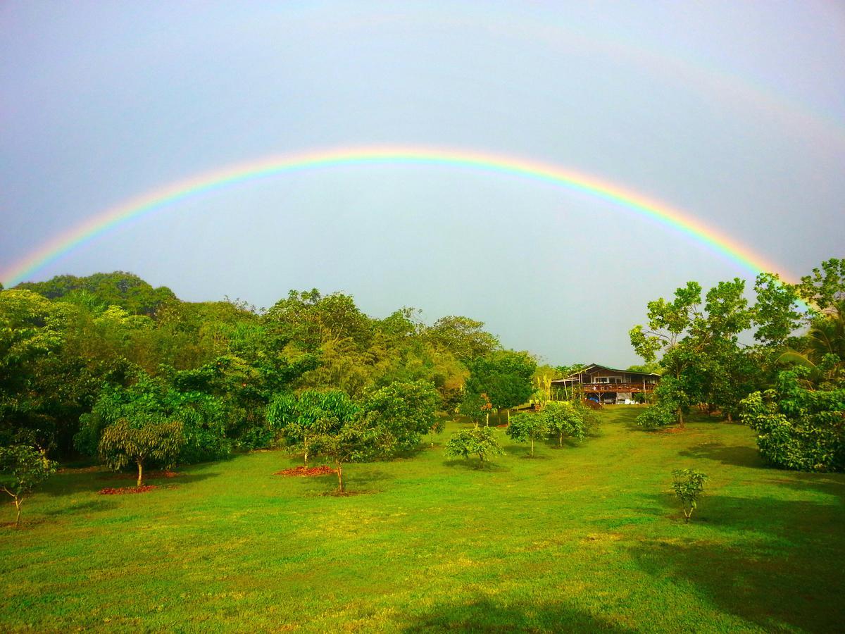 Kirpal Meditation And Ecological Center Pahoa Exterior foto